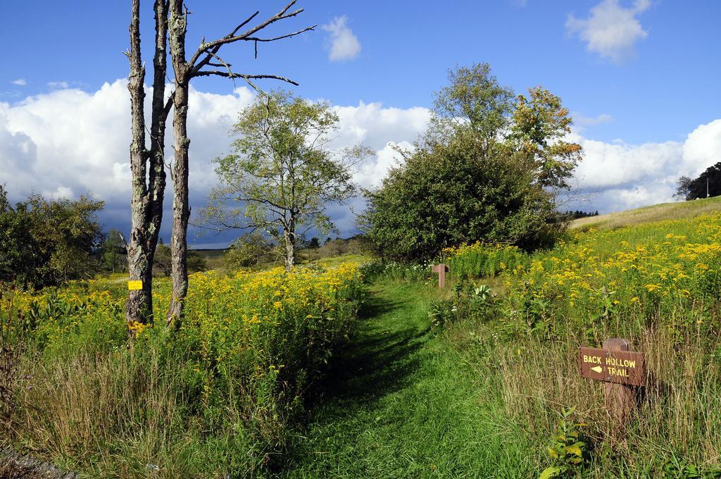 Canaan Valley Resort State Park Davis Eksteriør bilde