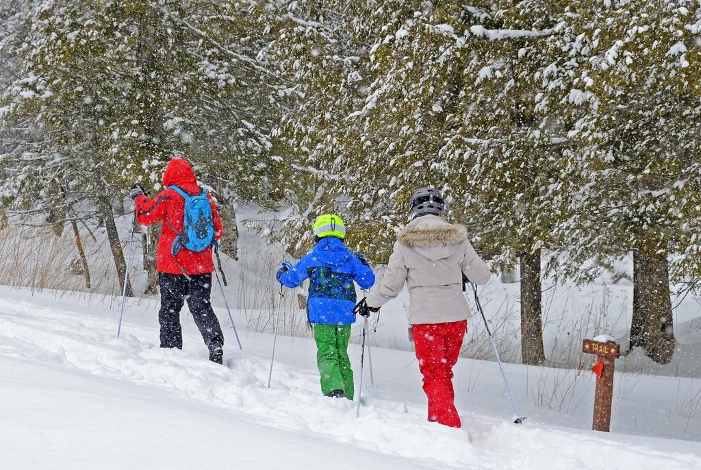Canaan Valley Resort State Park Davis Eksteriør bilde