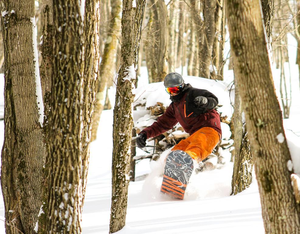 Canaan Valley Resort State Park Davis Eksteriør bilde